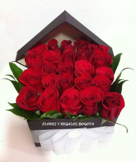SEMBRADO DE ROSAS