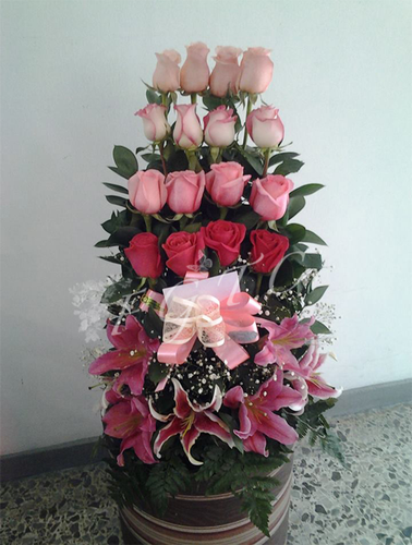 BELLAS
