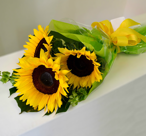 GIRASOLES + CHOCOLATES
