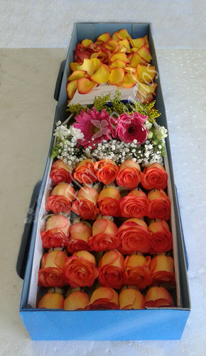 CAJA DE 24 ROSAS